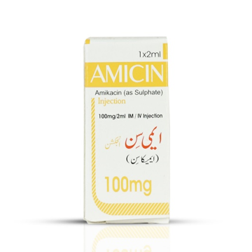 Amicin 100mg Injection - Human Injectables by Star Laboratories