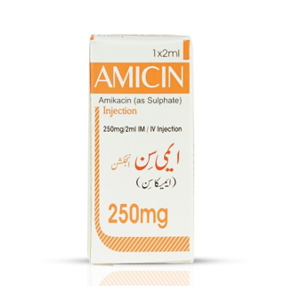 Amicin 250mg Injection - Human Injectables by Star Laboratories