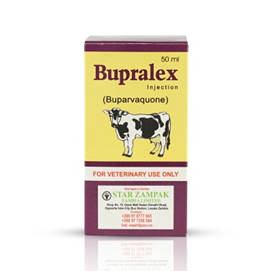 Bupralex Injection - Star Laboratories