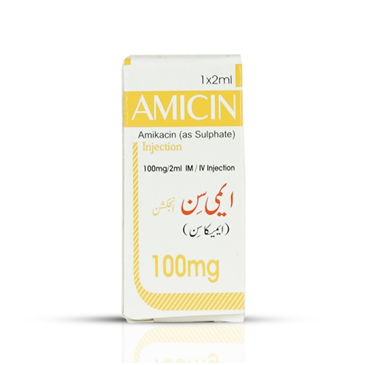 Amicin 100mg Injection - Star Laboratories