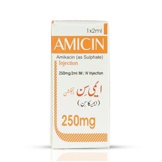 Amicin 250mg Injection - Star Laboratories